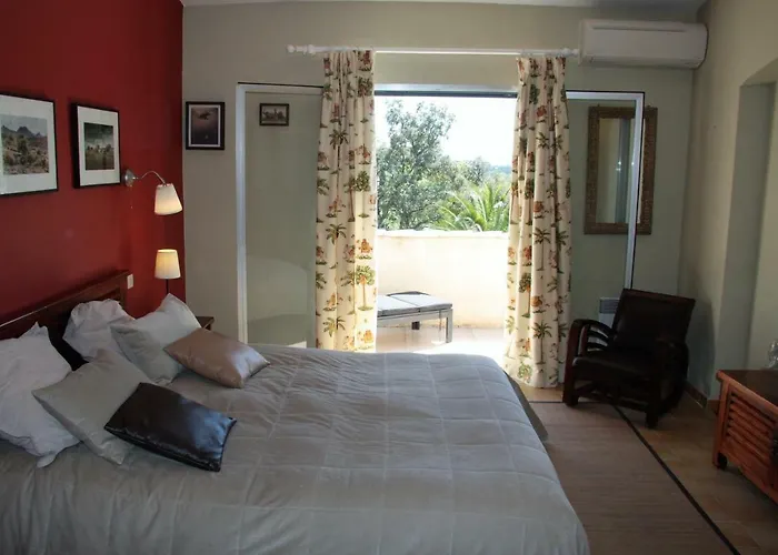 Villa Hortense - Golf Of Saint Tropez